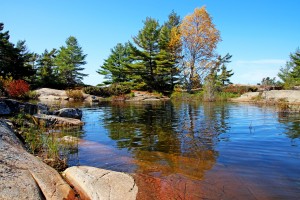 Island In Georgian Bay